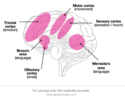 neuroscience-brain-on-fiction